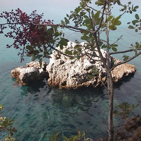 Apartment White Vantacici Εξωτερικό φωτογραφία