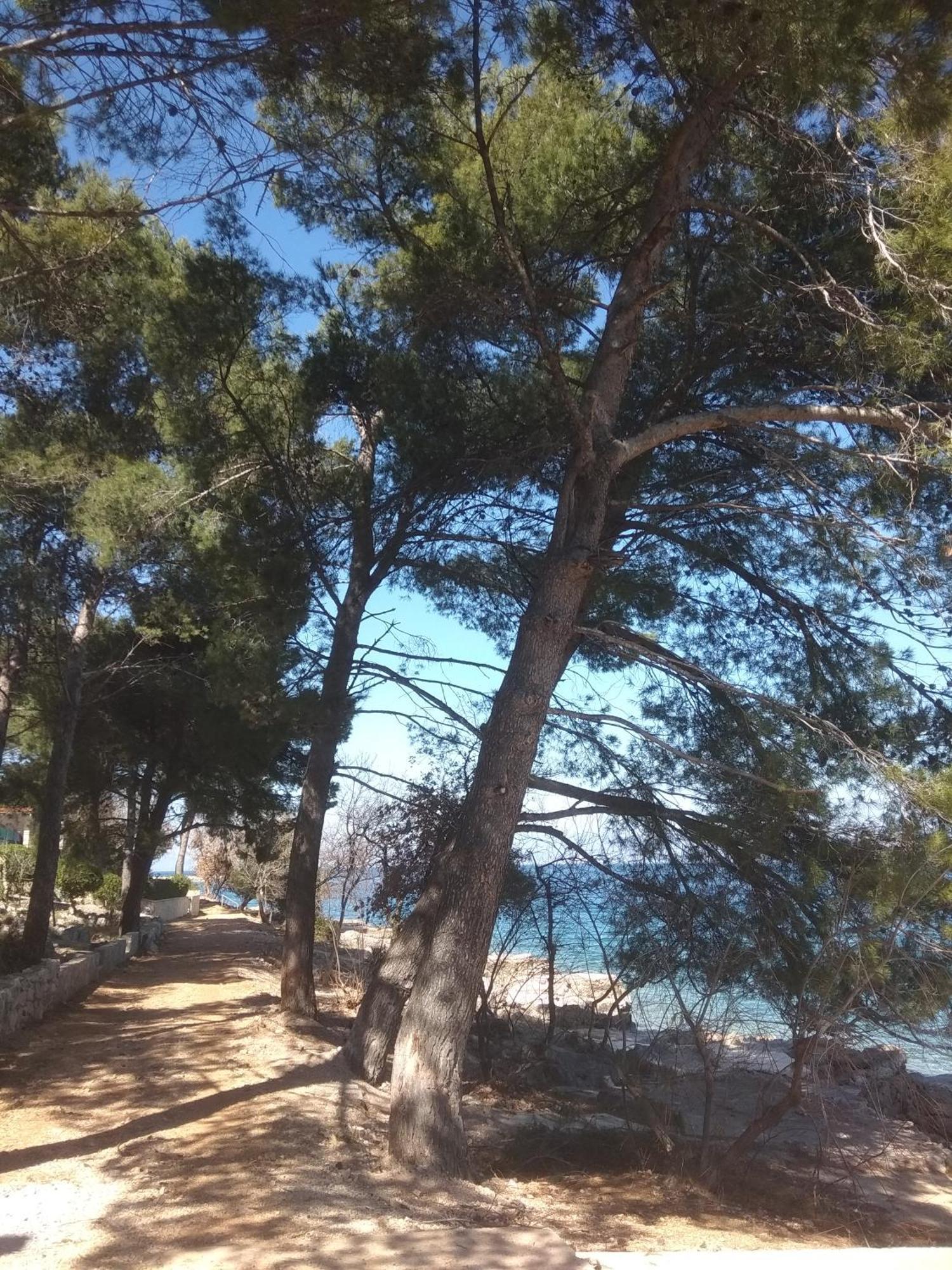 Apartment White Vantacici Εξωτερικό φωτογραφία