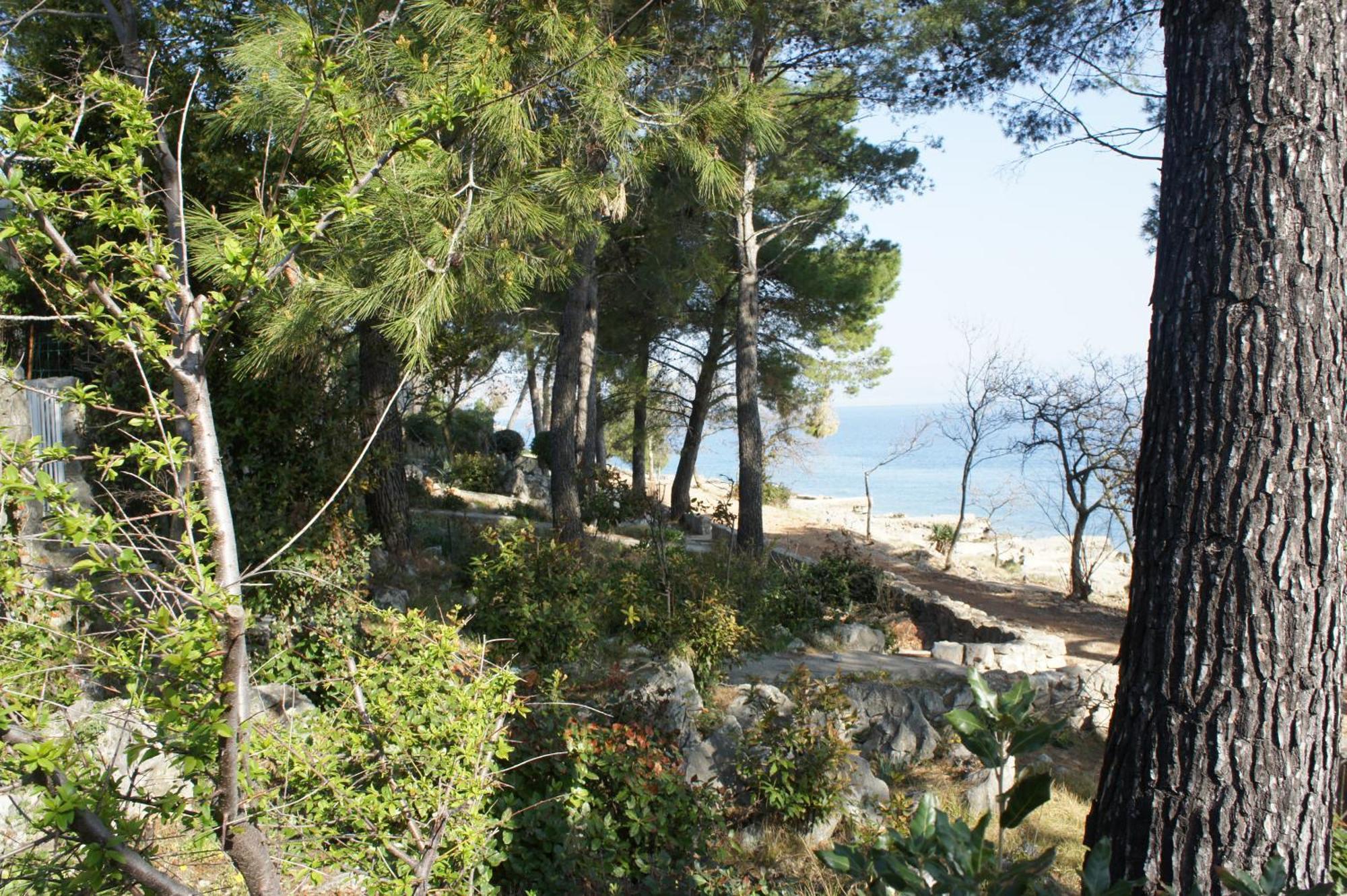 Apartment White Vantacici Εξωτερικό φωτογραφία
