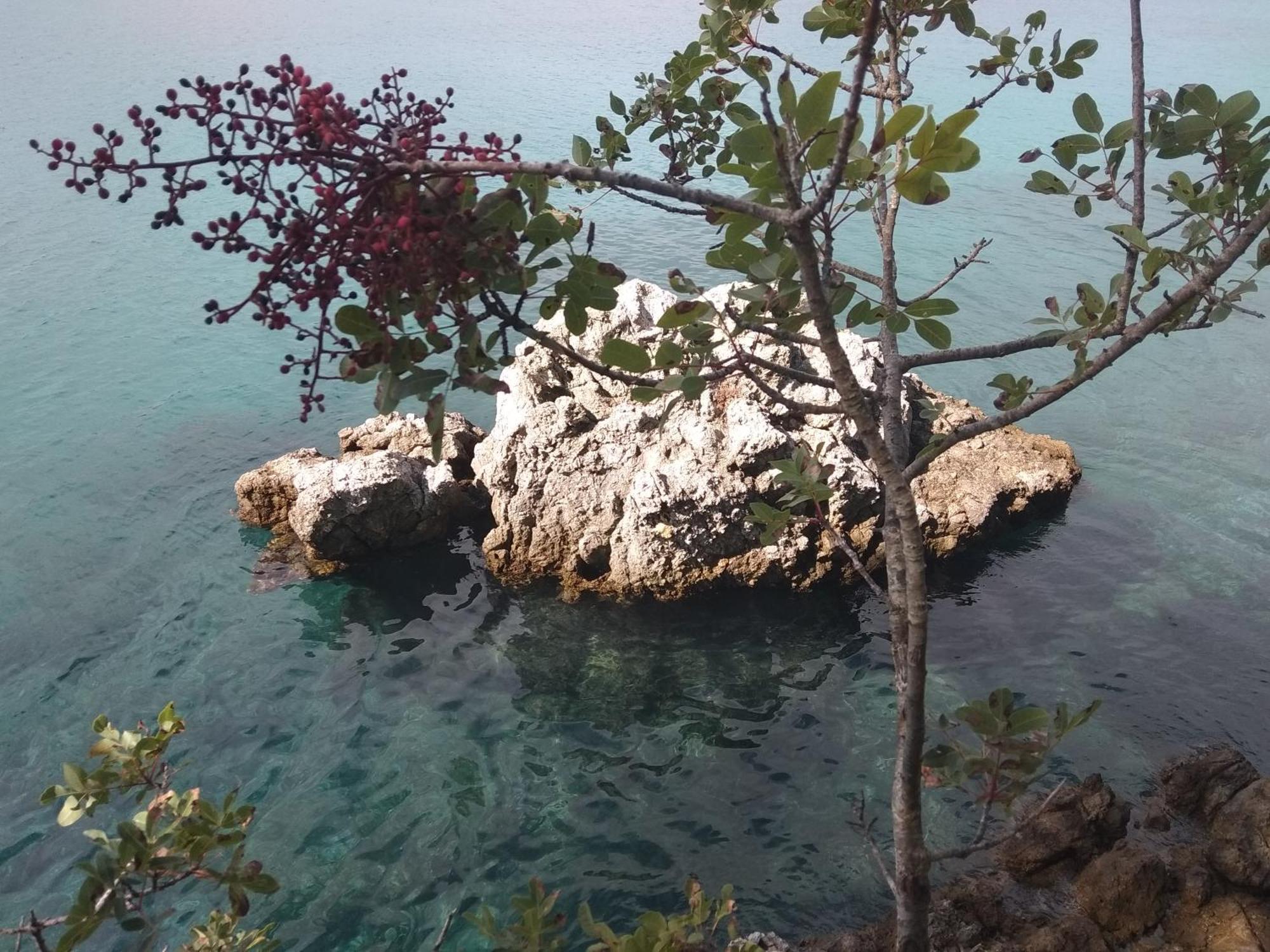 Apartment White Vantacici Εξωτερικό φωτογραφία