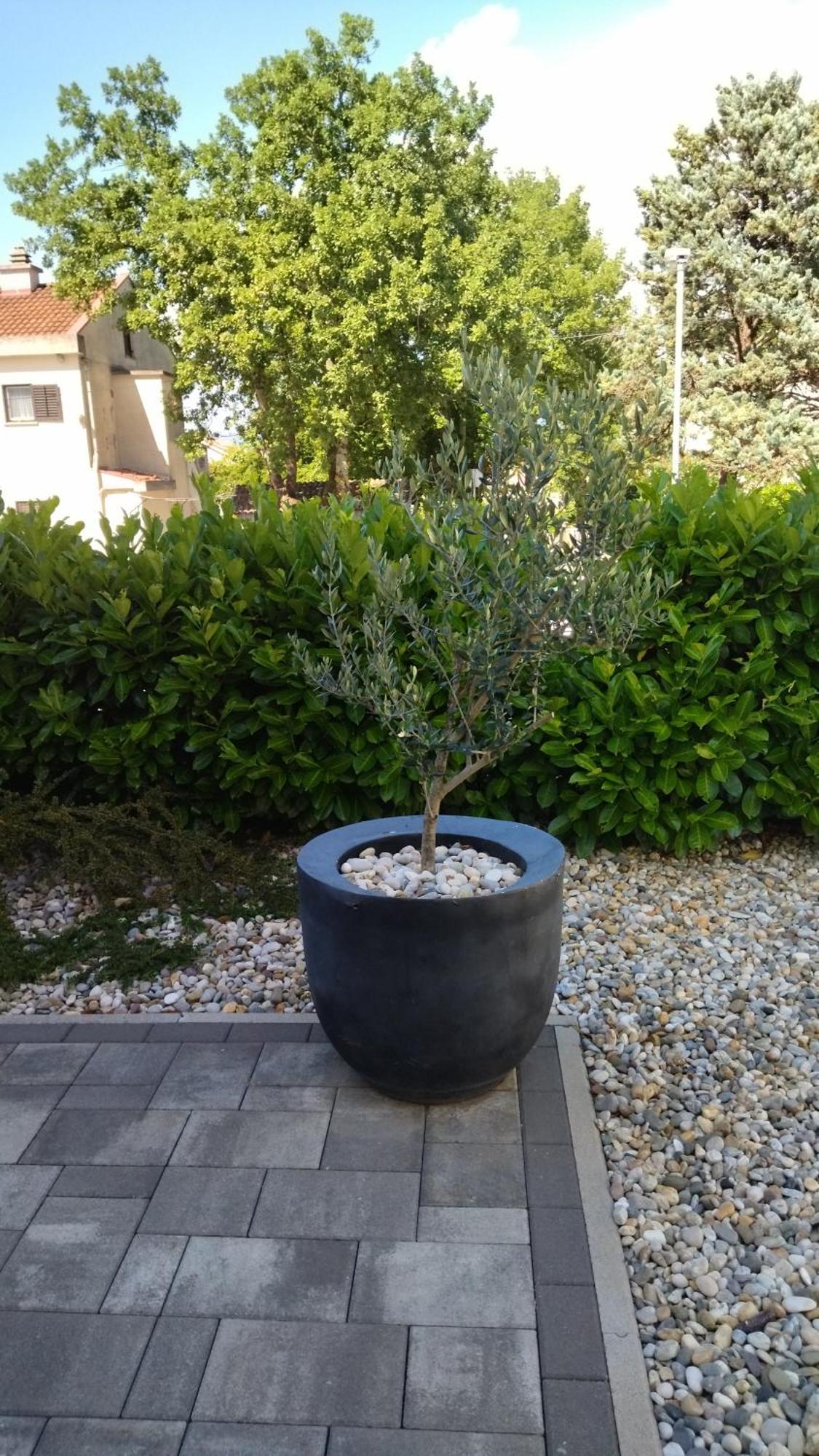 Apartment White Vantacici Εξωτερικό φωτογραφία