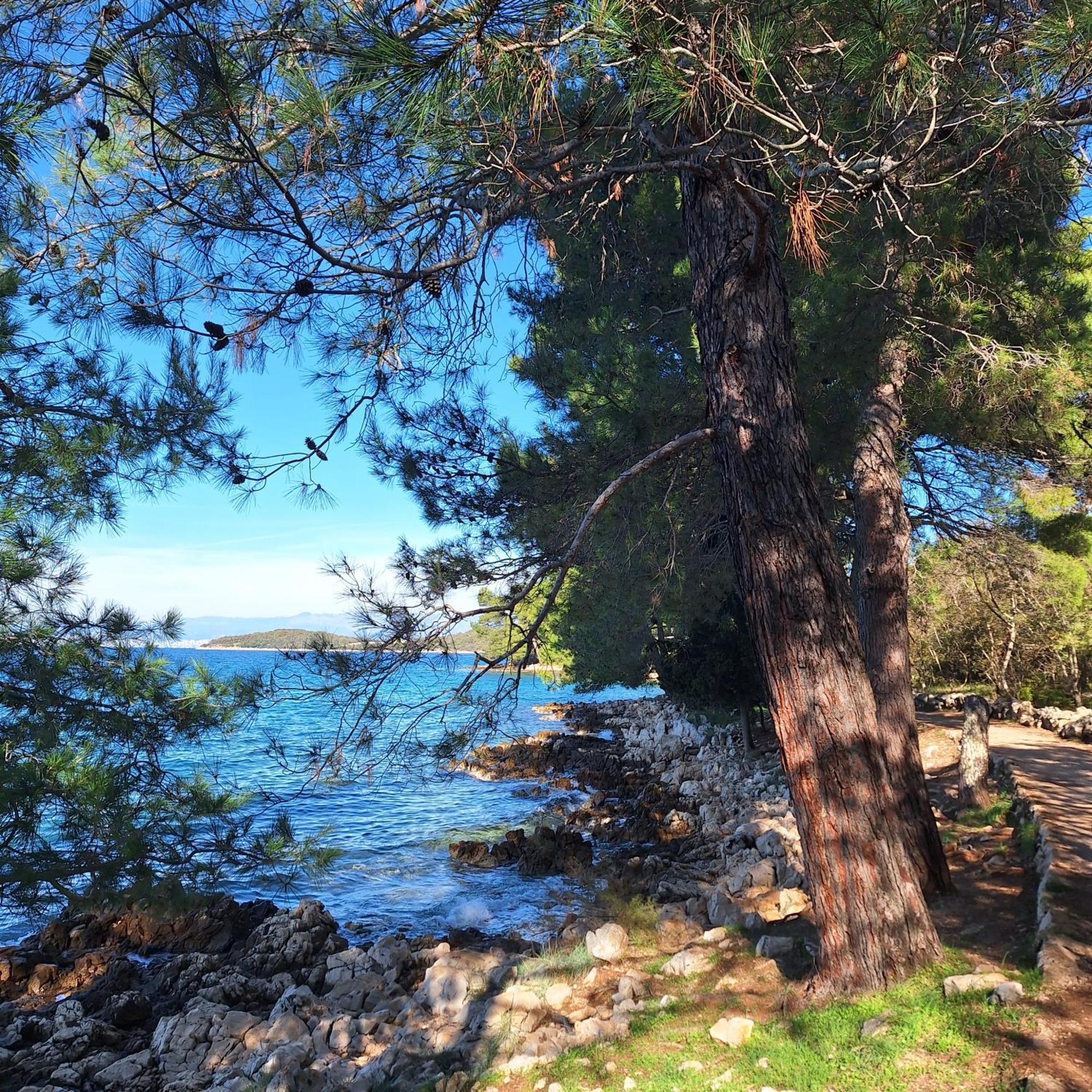 Apartment White Vantacici Εξωτερικό φωτογραφία